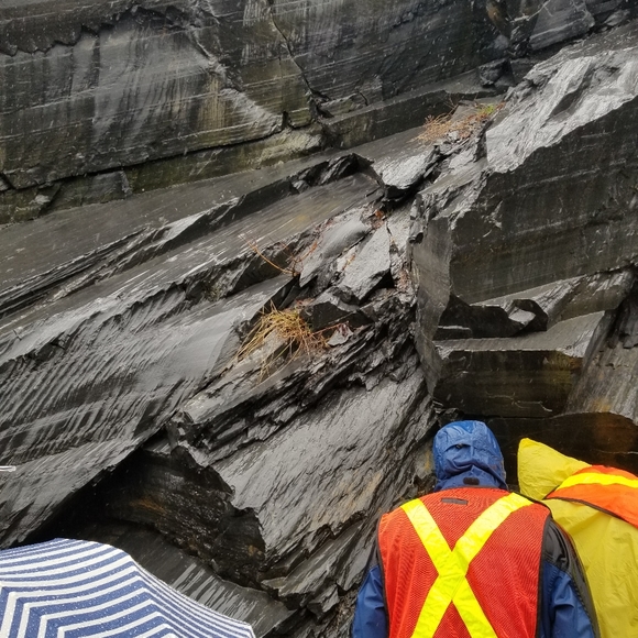 Meet your Posher, Sarah - Picture 5 of 6